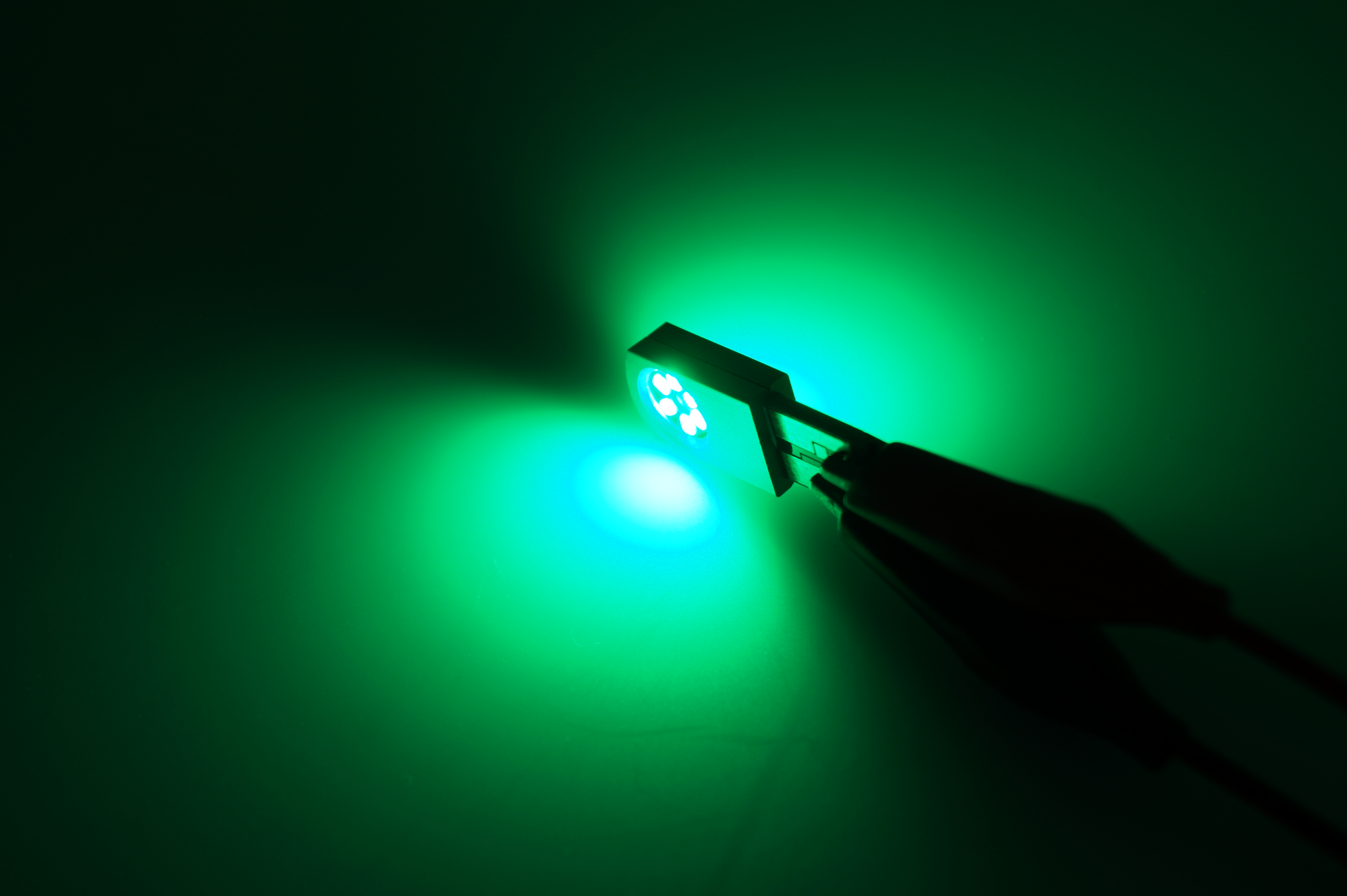 Grün 12V 194 LED -Auto -Innenvernichtungs Glühbirne  